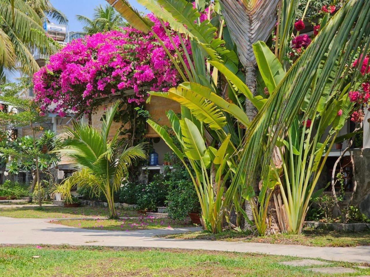 Catsen Bungalows & Pool ฟานเที้ยต ภายนอก รูปภาพ